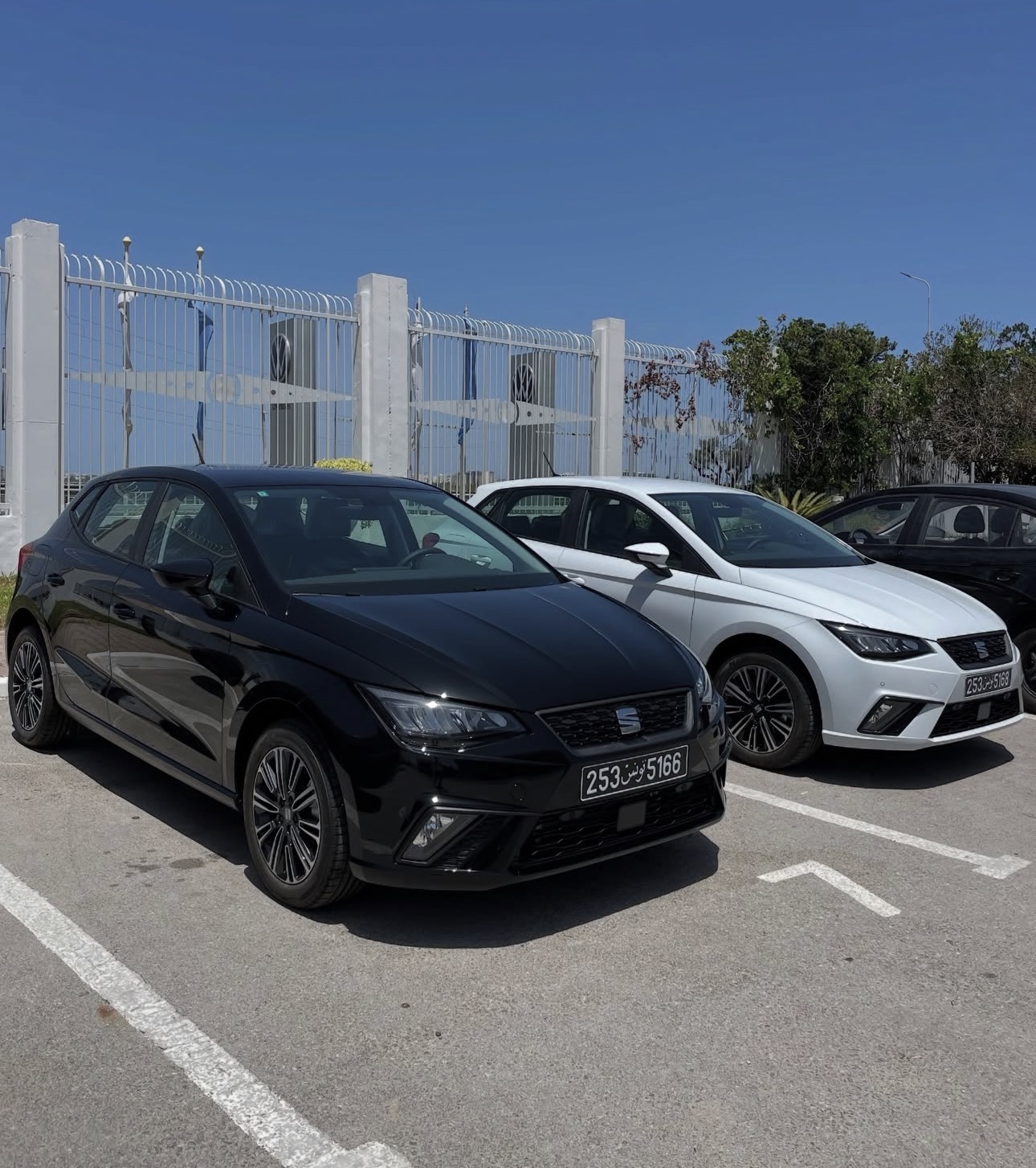 SEAT Ibiza Black - photo 1